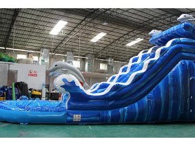 Dolphin Water Slide.